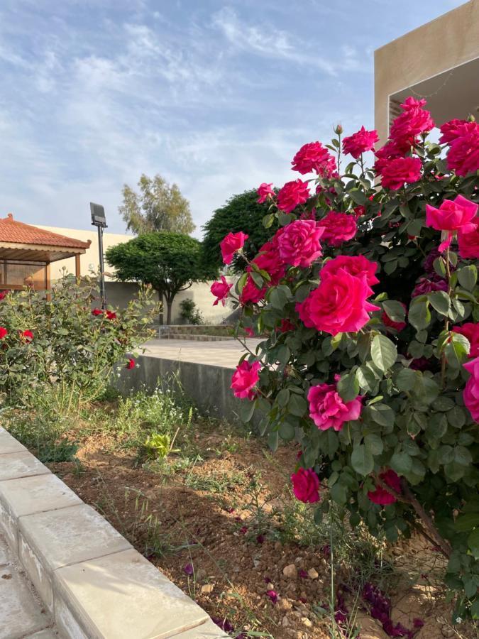 Villa مزرعة النجم Najem Farm à Al-Qasr Extérieur photo