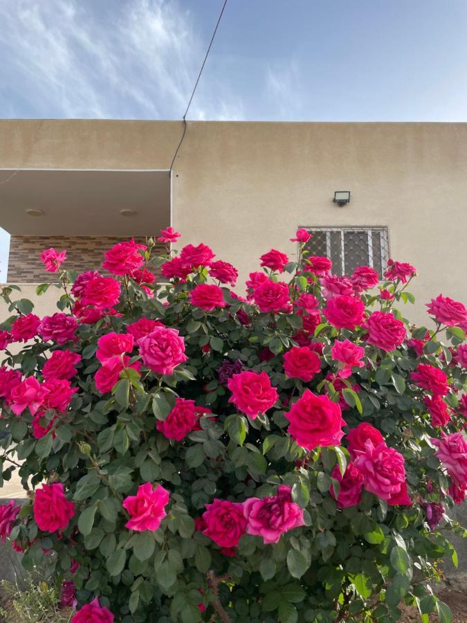 Villa مزرعة النجم Najem Farm à Al-Qasr Extérieur photo