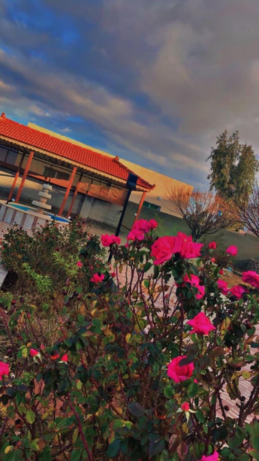 Villa مزرعة النجم Najem Farm à Al-Qasr Extérieur photo
