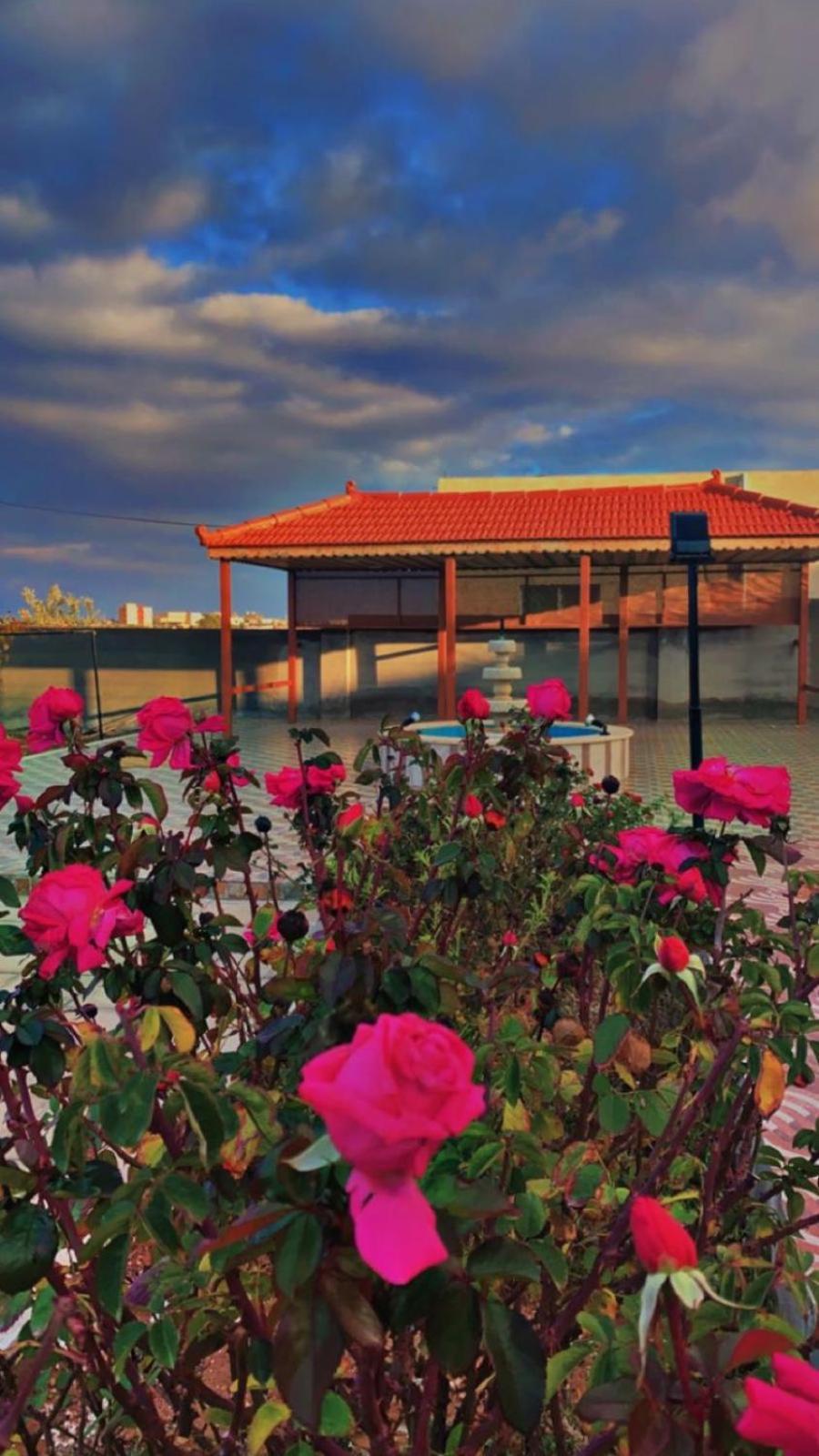 Villa مزرعة النجم Najem Farm à Al-Qasr Extérieur photo